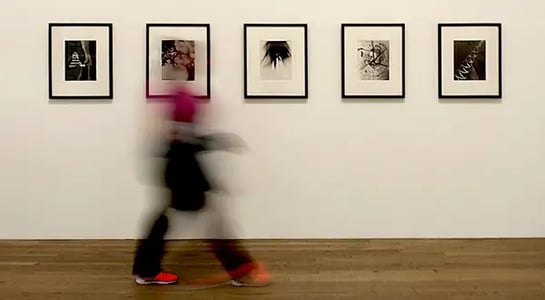 art gallery image